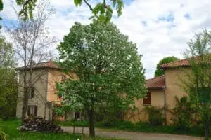 Maison Charbonnières les Bains 69260