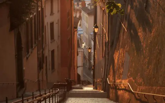 Lyon 4