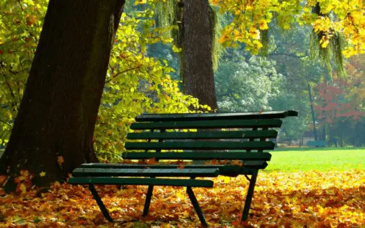 Parc à Lyon 4