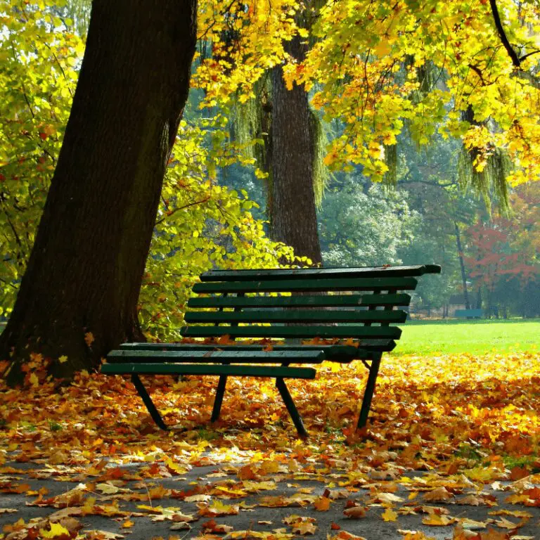 Parc à Lyon 4