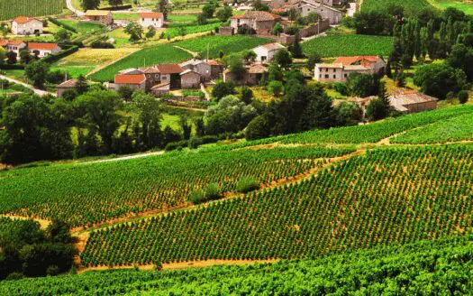 Visuel du Beaujolais
